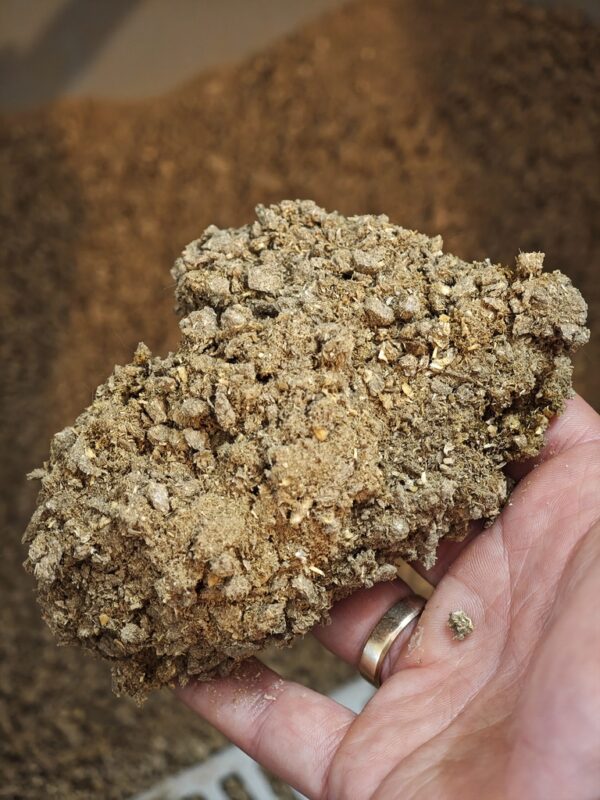 1723301259770 1723301259770