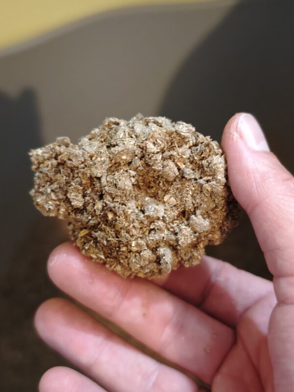 1723450613007 1723450613007