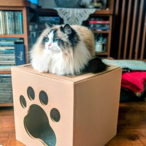 Drapak dla kota „Domek Netti”