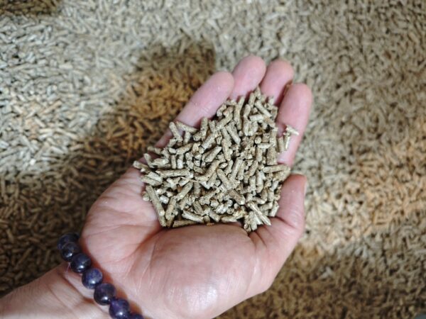 1728549104952 1728549104952