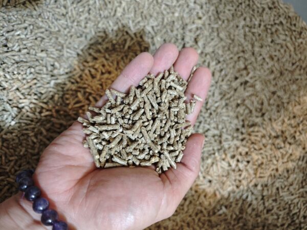 1728549104960 1728549104960