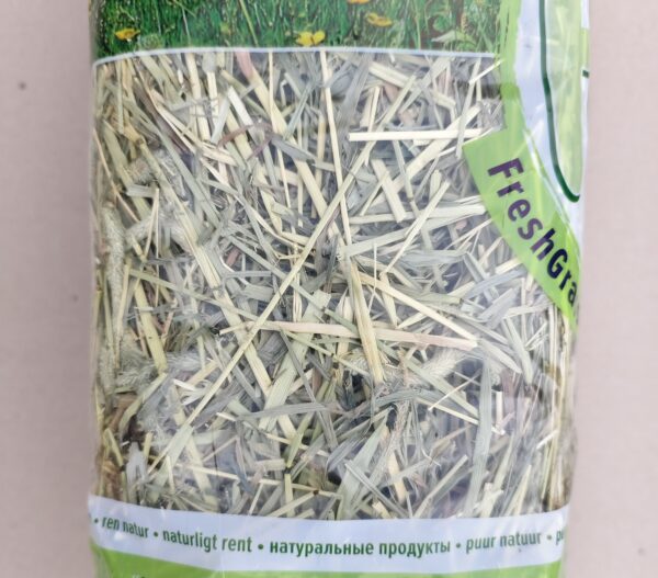 IMG_20251022_134839 IMG_20251022_134839