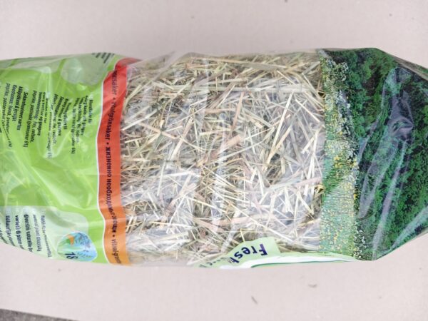 IMG_20251022_134854 IMG_20251022_134854