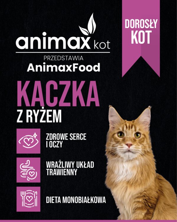 CDN - kaczka z ryzem dorosly_allegro