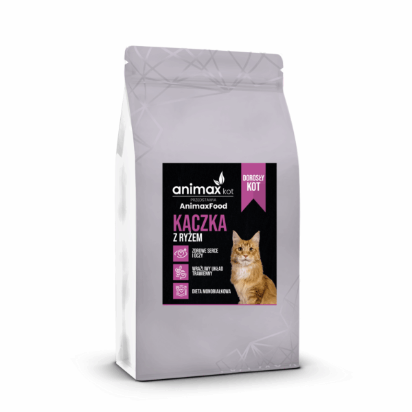 kot dorosły- kaczka z ryzem