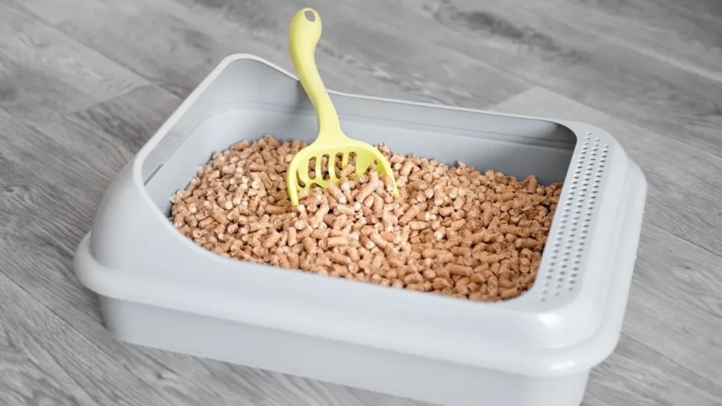 Kuweta wypełniona drewnianym żwirkiem dla kotów i łopatka do żwirku