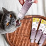 GIMPET-PASTA-ODKLACZAJACA-MALT-SOFT-EKSTRA-DLA-KOTA-200g-Nazwa-handlowa-Pasta-odklaczajaca-GimCat-Malt-Soft-Extra-200-g