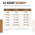 john-dog-lape-przepiorka-100g-5-ile-karmy