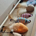 wedka-dla-kota-z-zabawkami-02.jpg