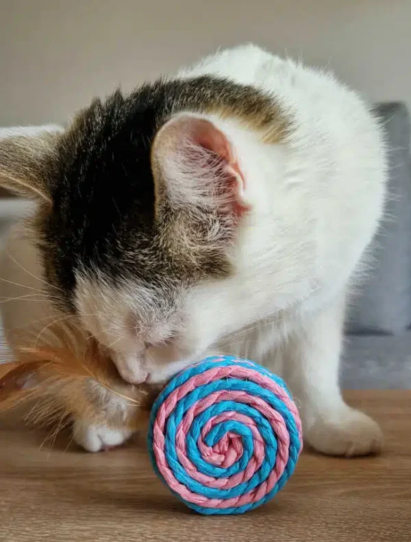 wedka-dla-kota-z-zabawkami-11.jpg wedka-dla-kota-z-zabawkami-11.jpg