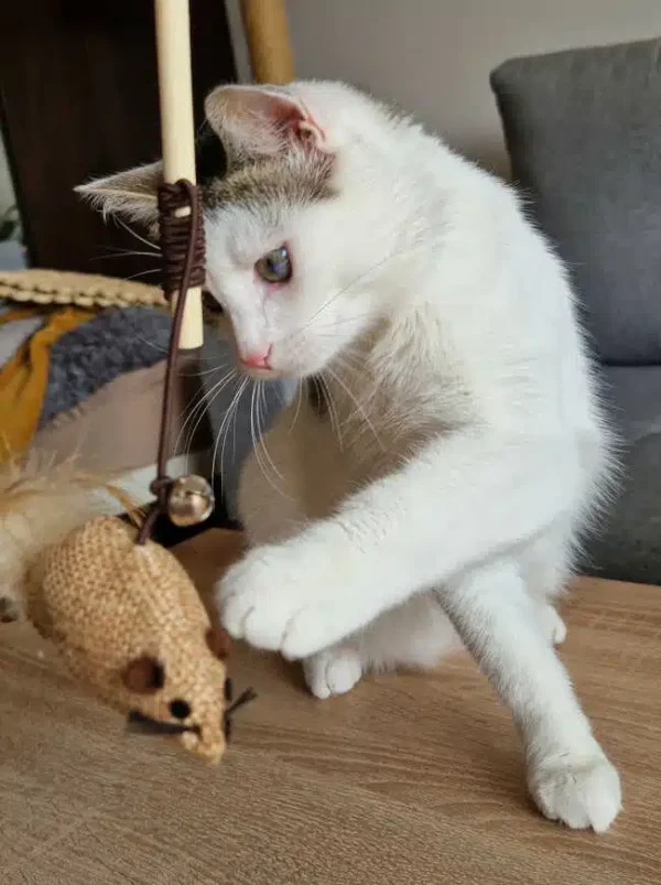 wedka-dla-kota-z-zabawkami-14.jpg wedka-dla-kota-z-zabawkami-14.jpg