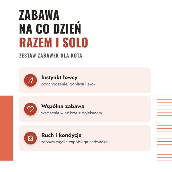 wedka-z-myszka-i-6-zabawek-2-korzysci wedka-z-myszka-i-6-zabawek-2-korzysci