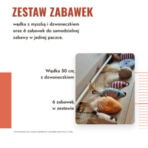 Zestaw 6 zabawek dla kota  + wędka dla kota z myszką