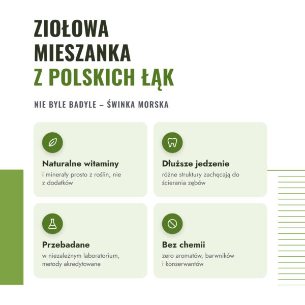 nie-byle-badyle-swinka-34-skladniki-2-korzysci nie-byle-badyle-swinka-34-skladniki-2-korzysci