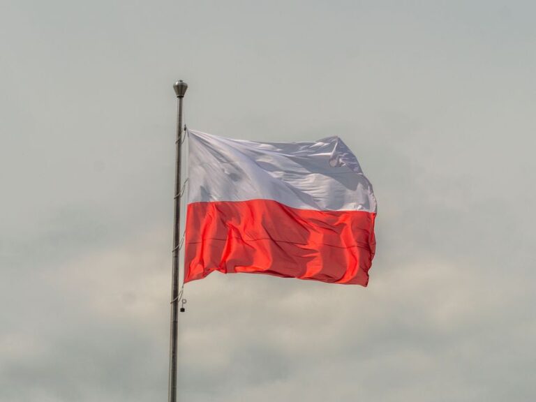 Dlaczego coraz więcej Polaków wybiera żwirek od polskiego producenta