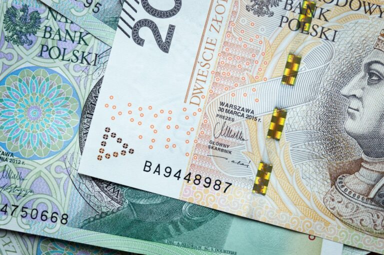 Czy żwirek drewniany się opłaca finansowo w dłuższej perspektywie
